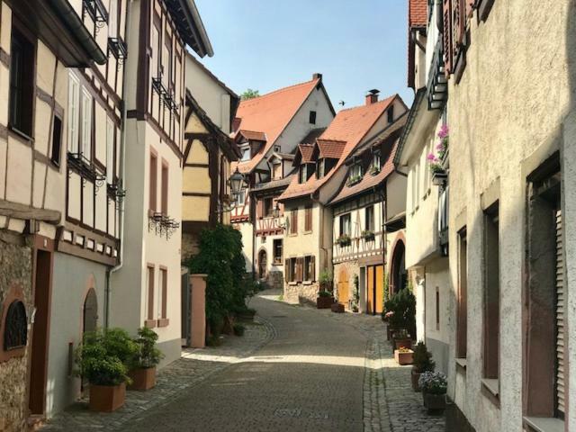 Buedinger Hof Apartment Weinheim Bagian luar foto