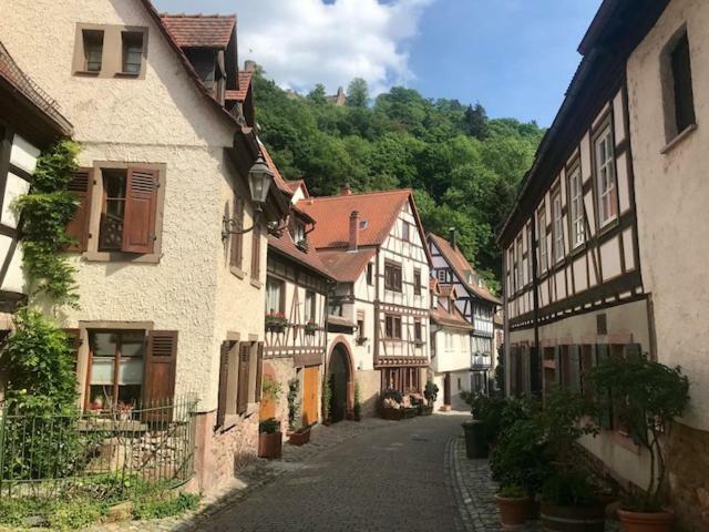 Buedinger Hof Apartment Weinheim Bagian luar foto