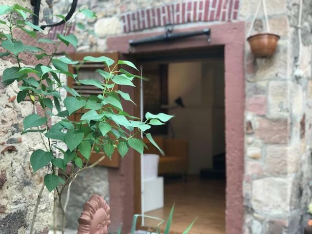 Buedinger Hof Apartment Weinheim Bagian luar foto
