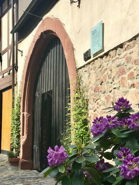 Buedinger Hof Apartment Weinheim Bagian luar foto