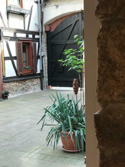 Buedinger Hof Apartment Weinheim Bagian luar foto